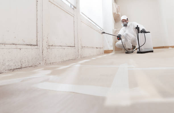 24/7 Emergency Commercial Mold Remediation experts in Greenville, TX