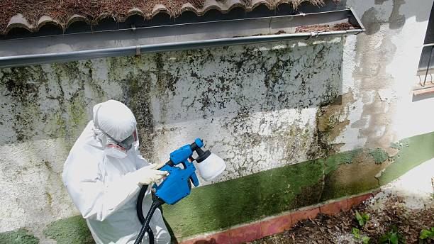 Top rated local Commercial Mold Remediation specialists in Greenville, TX
